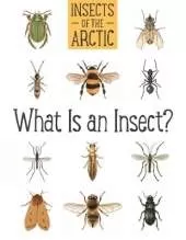Insects of the Arctic: What Is an Insect?: English Edition