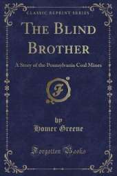 The Blind Brother: A Story of the Pennsylvania Coal Mines (Classic Reprint)