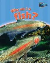 Why am I a Fish?