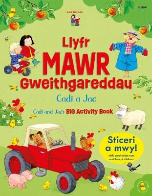 Llyfr Mawr Gweithgareddau Cadi a Jac / Cadi and Jac's Big Activity Book