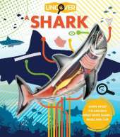 Uncover a Shark