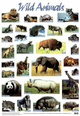 Wild Animals