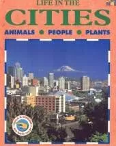 Life in the Cities