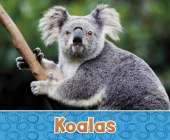 Koalas