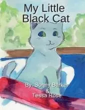 My Little Black Cat