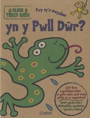 Pwy Sy'n Mwynhau Yn Y Pwll Dwr?