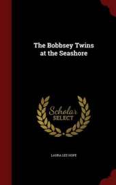The Bobbsey Twins at the Seashore