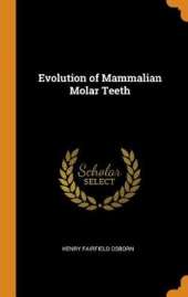 Evolution of Mammalian Molar Teeth