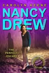Perfect Escape: Book Three in the Perfect Mystery Trilogy