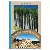 RAINBOW READING TURNING TREES