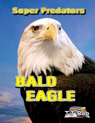 Bald Eagle: Age 6 and above