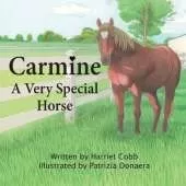 Carmine: A Very Special Horse