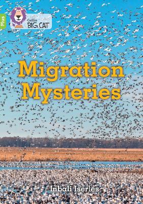 Migration Mysteries: Band 11+/Lime Plus
