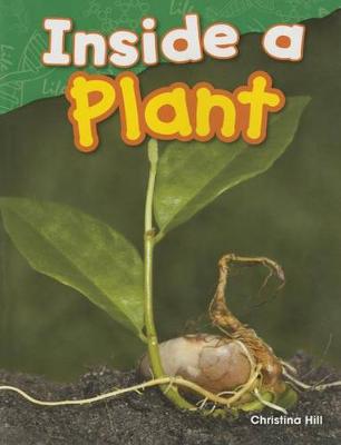 Inside a Plant