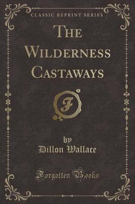 The Wilderness Castaways (Classic Reprint)