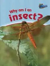 Why am I an Insect?