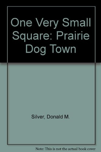 One Very Small Square