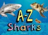 A–Z of Sharks: The alphabet of the shark world, from Angel Shark to Zebra Shark