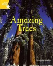 Fantastic Forest Yellow Level Non-fiction: Amazing Trees