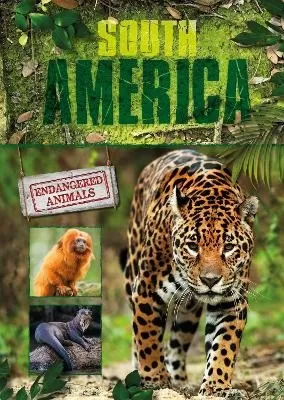 South America
