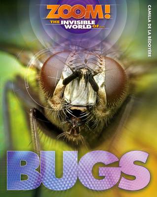 Zoom! The Invisible World of Bugs