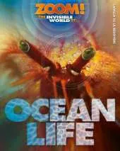 Zoom! The Invisible World of Ocean Life