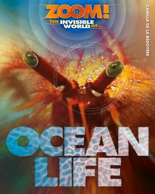 Zoom! The Invisible World of Ocean Life