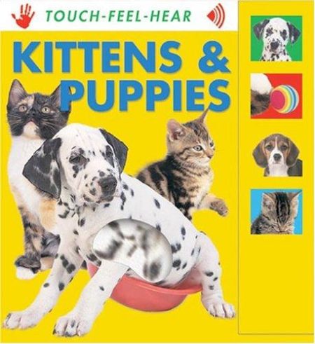 Kittens and Puppies