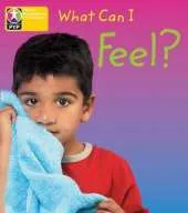 PYP L3 What Can I feel single