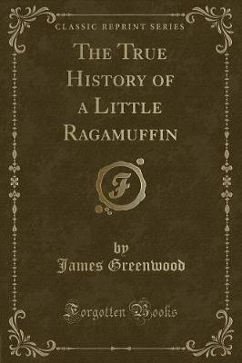 The True History of a Little Ragamuffin (Classic Reprint)