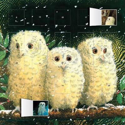 Owl Babies advent calendar (with stickers)