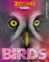 Zoom! the Invisible World of Birds
