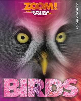 Zoom! the Invisible World of Birds