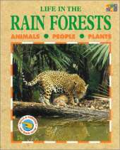 Life in the Rainforests