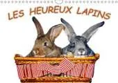 Les Heureux Lapins 2017: Des Lapins Devant l'Appareil Photo. Nous les Lapins, Nous Aimons Etre Pris en Photo