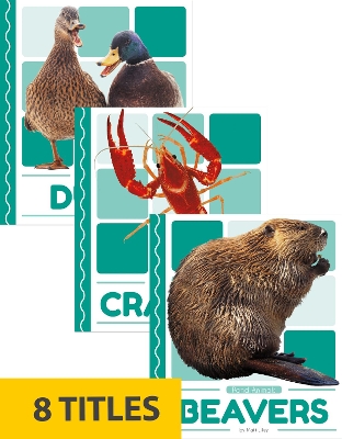 Pond Animals (Set of 8)