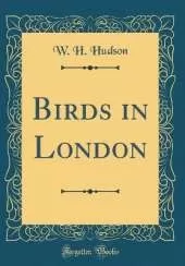 Birds in London (Classic Reprint)