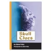 Skull Clues