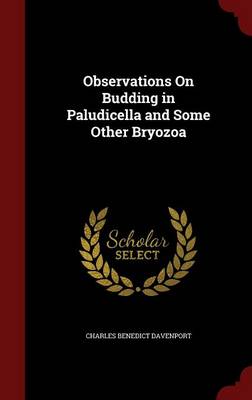 Observations on Budding in Paludicella and Some Other Bryozoa