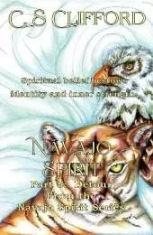 Navajo Spirit Part 3 Detour