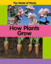 The World of Plants: How Plants Grow