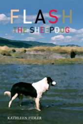 Flash the Sheep Dog