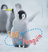 Life Cycles: Egg to Penguin