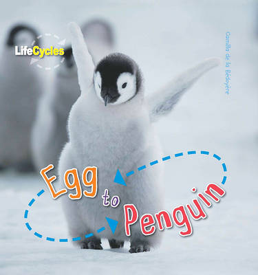 Life Cycles: Egg to Penguin