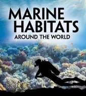 Marine Habitats Around the World