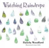 Watching Raindrops