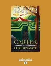 Carter and the Curious Maze: Weird Stories Gone Wrong