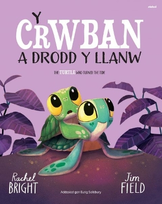 Y Crwban a Drodd y Llanw / The Turtle Who Turned The Tide