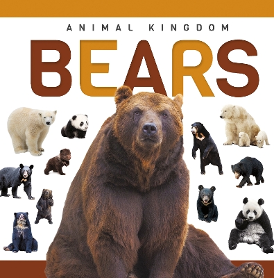 Bears