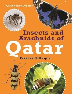 Insects and Arachnids of Qatar